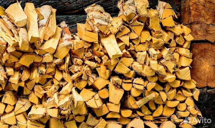 Дрова с Зеленогорска