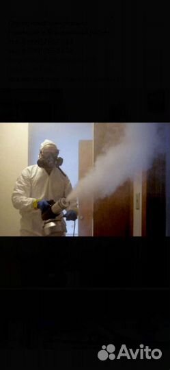 Уничтожение клопов, тараканов и т. д