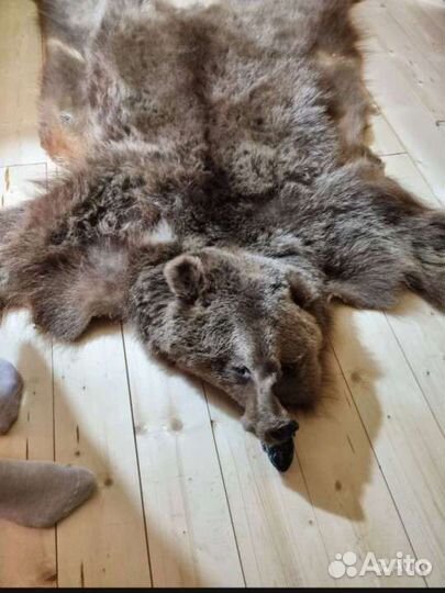 Шкура медведя имитация