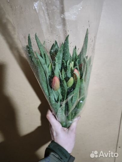 Тюльпаны 28-32 см в наличии