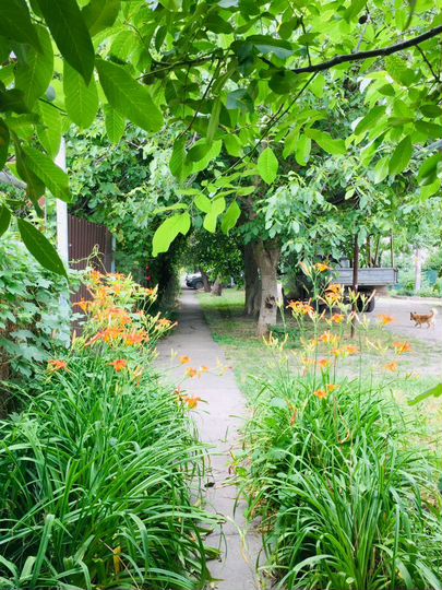 Участок 9,5 сот. (ИЖС)