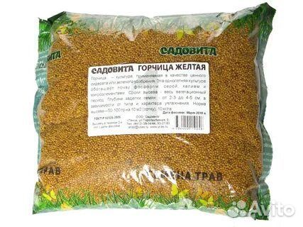 Горчица сидерат