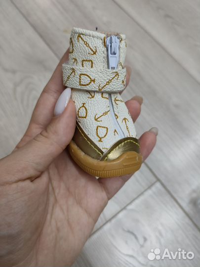 Ботинки для собак