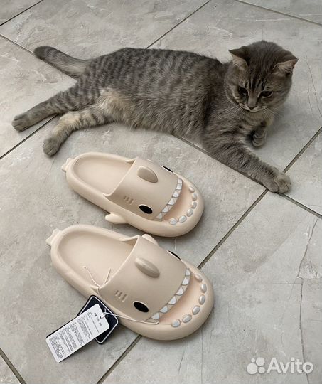 Шлепки акулы