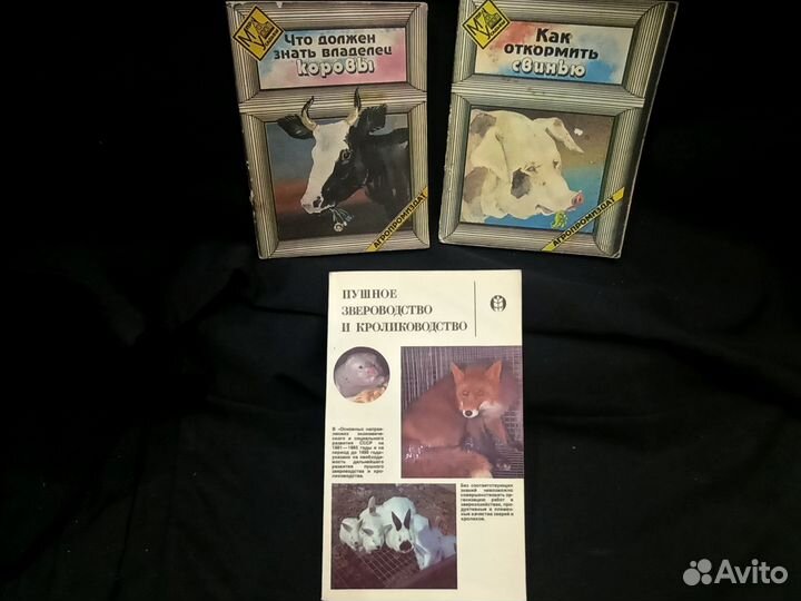 Книги СССР для хозяина и хозяйки