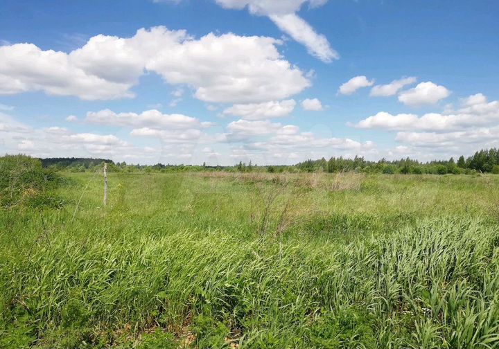 Участок 40 га (СНТ, ДНП)