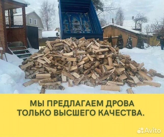 Дрова колотые березовые