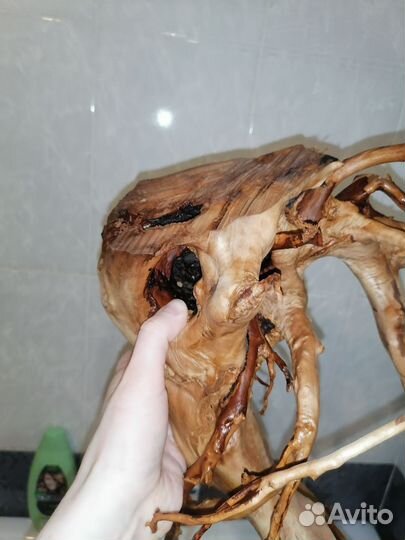 Коряги для аквариума