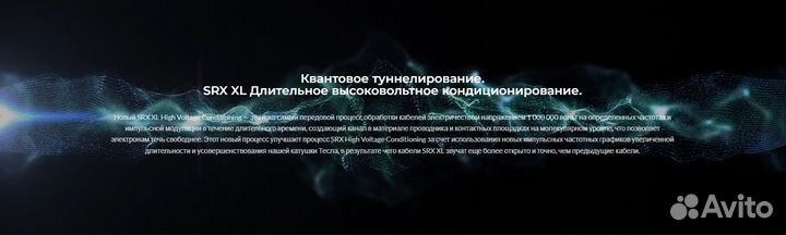 Synergistic Research Foundation SX. Акустический