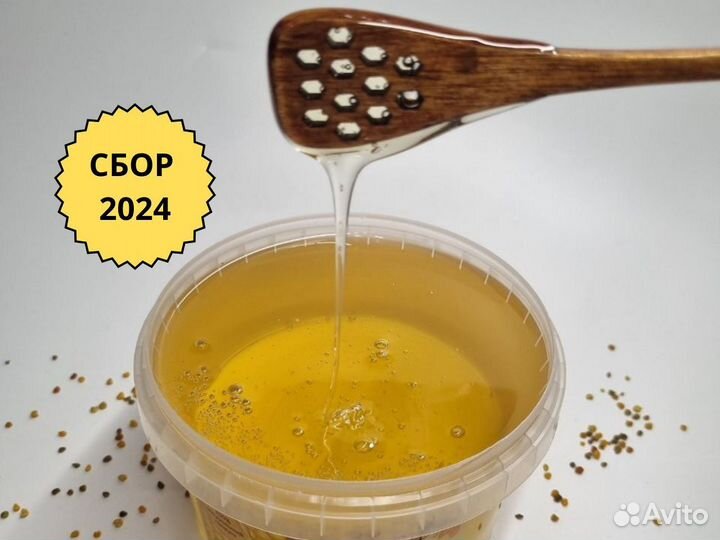 Липовый мед 2024