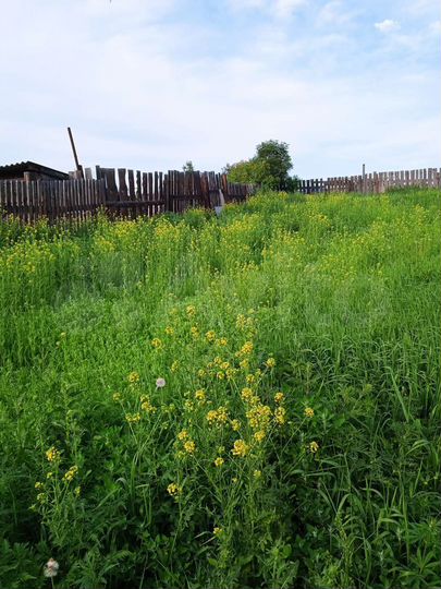 Дом 40 м² на участке 13 сот.