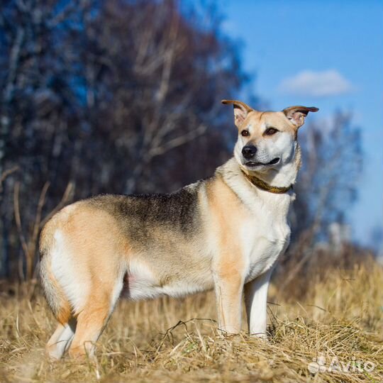 Тихая, робкая Марта заслужила счастье