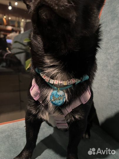 Адресник для собак из эпоксидной смолы