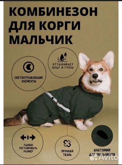 Комбинезон для Корги мальчика