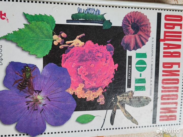 Общая биология 10-11 класс Дрофа