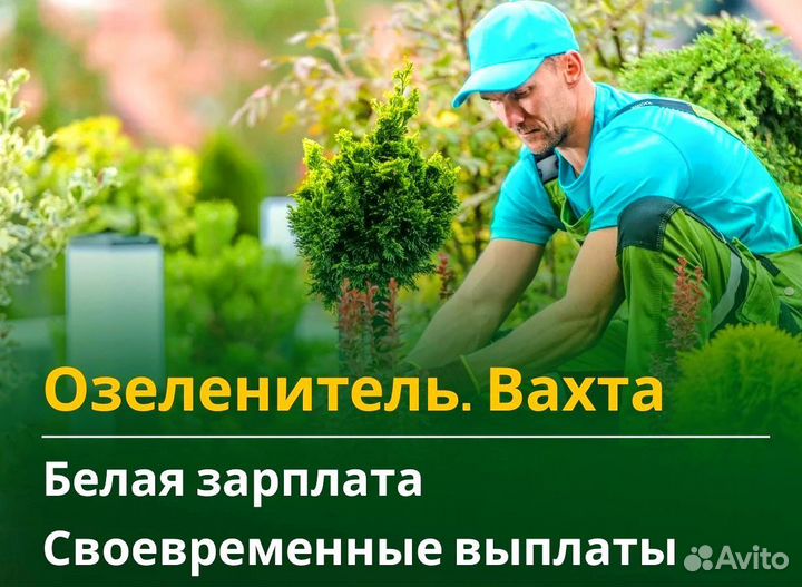 Вахта 60/30 Жильё питание (Озеленитель )