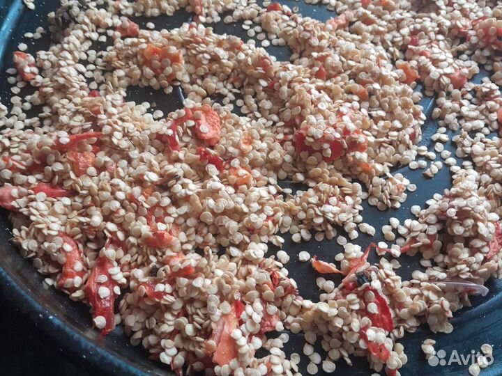 Семена Болгарского перца