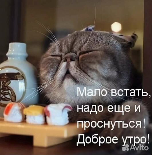 Ремни для гитары