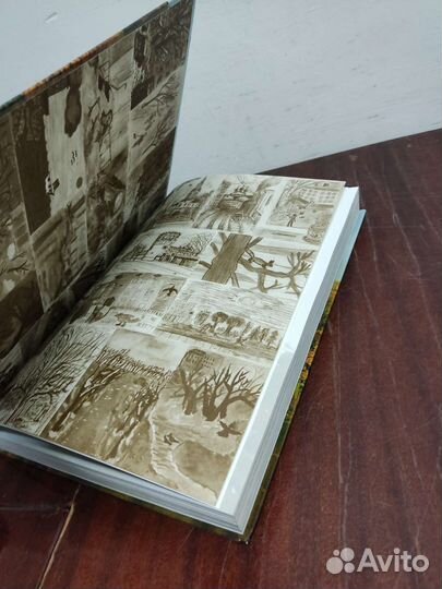 Природа Москвы. Книга- Альбом. Подарочная