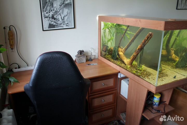 Аквариум в каждый дом