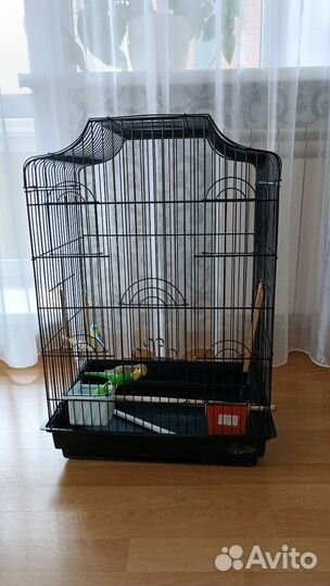 Клетка для попугая
