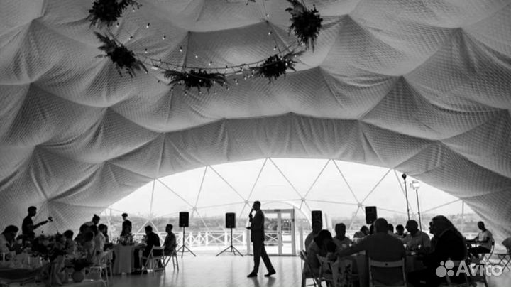 Ведущий, юморист, музыкант, певец