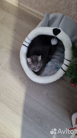 Домик - лежанка для кошек и маленьких собак новая