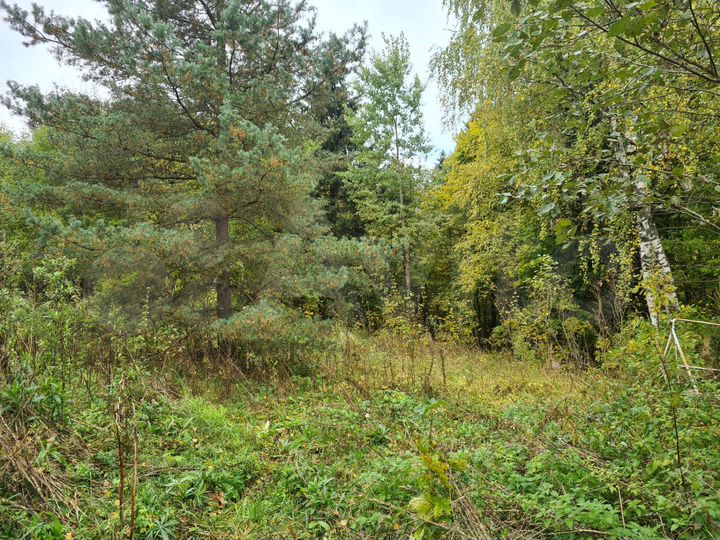 Участок 12,5 сот. (СНТ, ДНП)