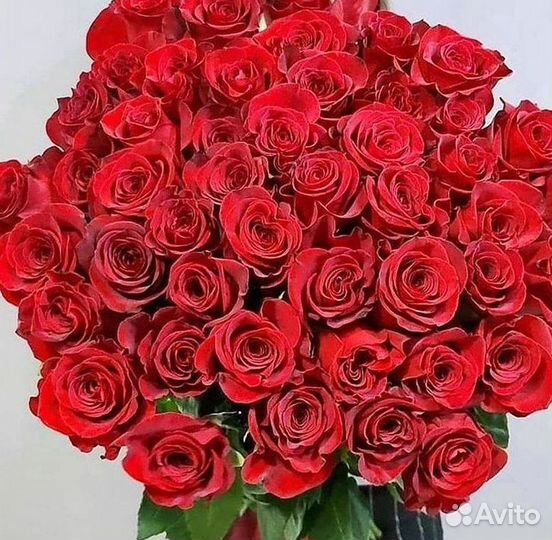 Высокие розы Букеты с доставкой