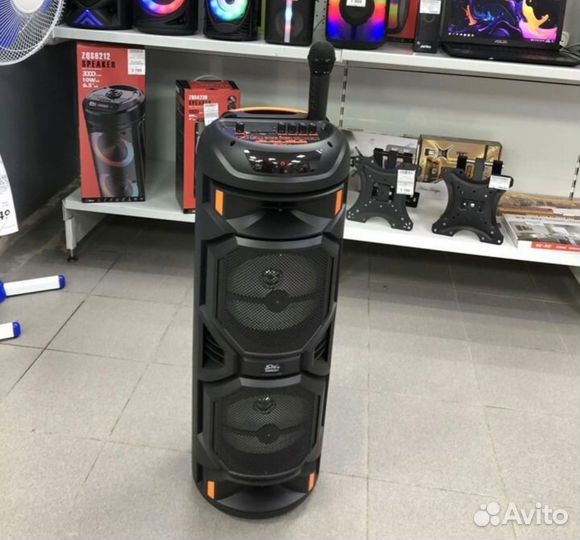 Новая огромная Bluetooth колонка караоке 2024