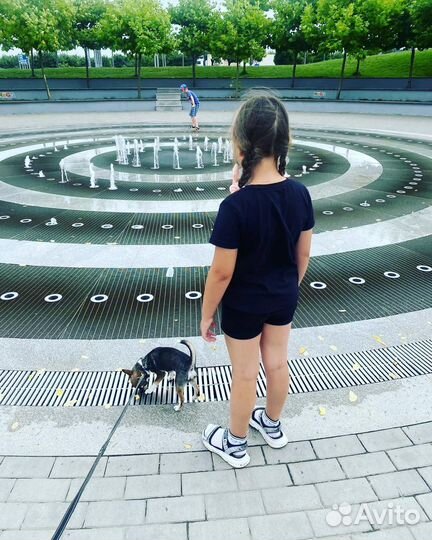 Продам мальчика мини