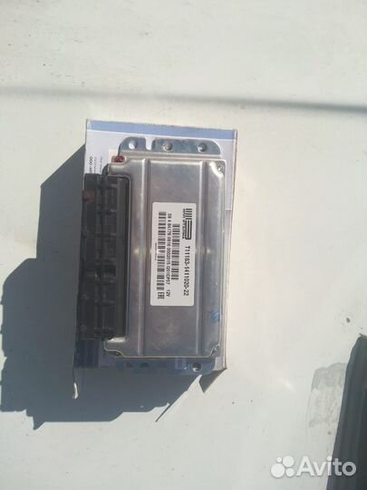 Эбу, мозги на калину