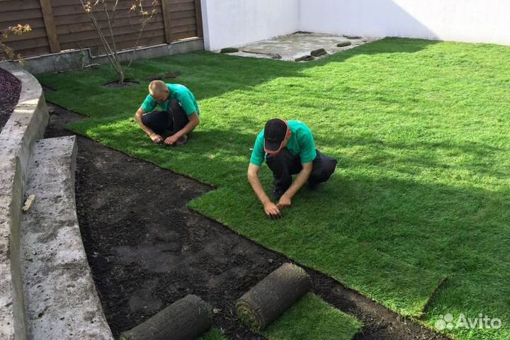 Рулонный газон под ключ