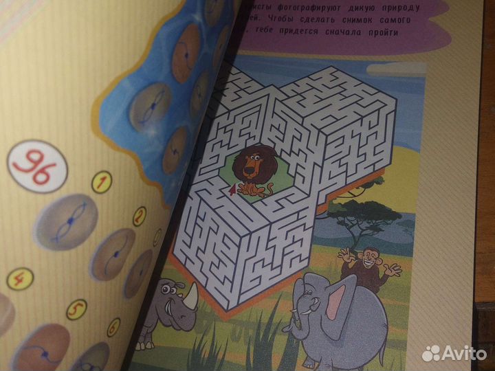 Книга : 250 лучших головоломок 3D математика