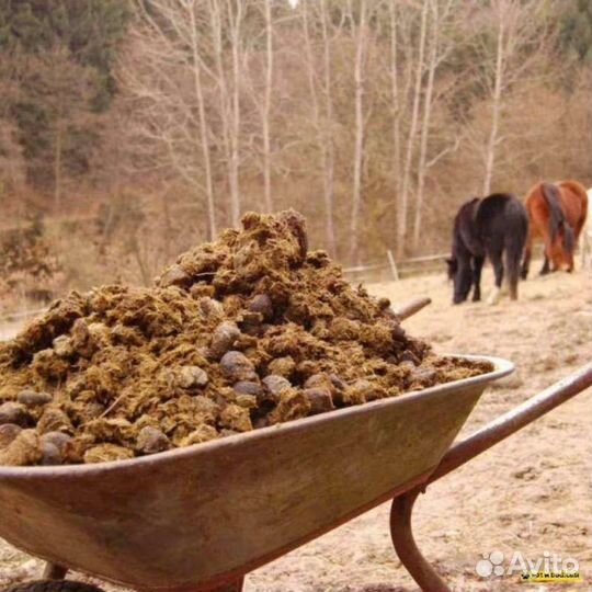 Навоз, перегной, земля