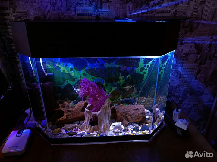 Аквариум