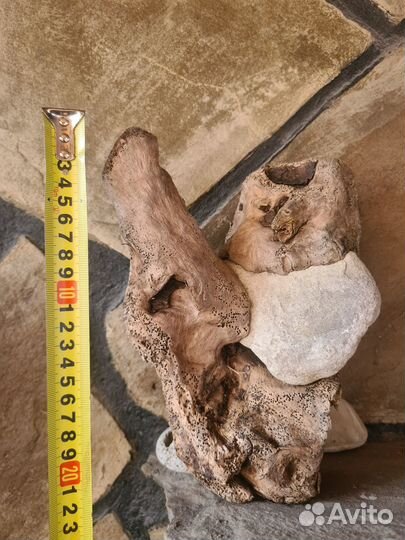 Коряги дрифтвуд