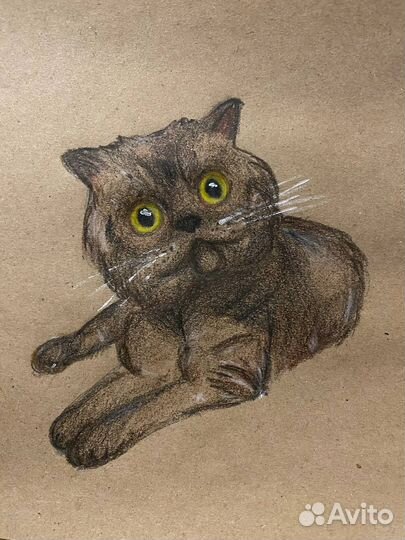 Рисую ваших котиков