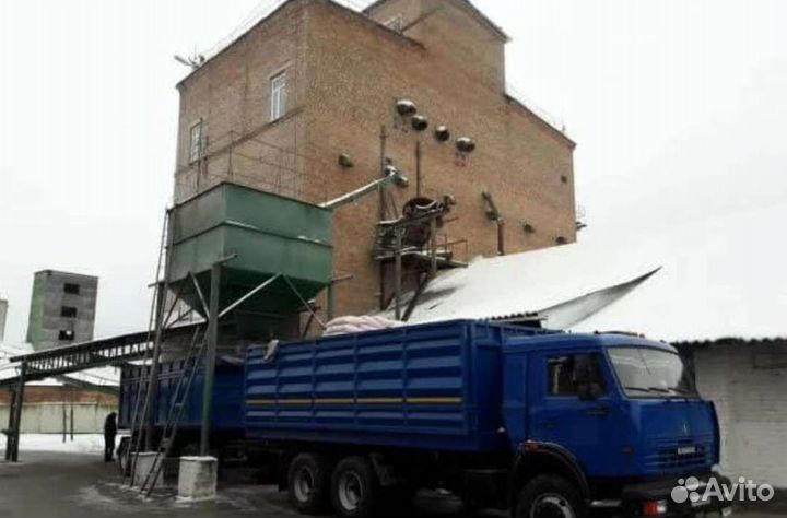 Семена кукурузы 291 амв F1 2022 года