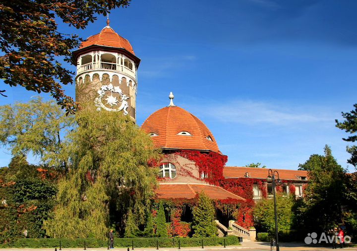 Экскурсия: Балтийск, Янтарный, Светлогорск