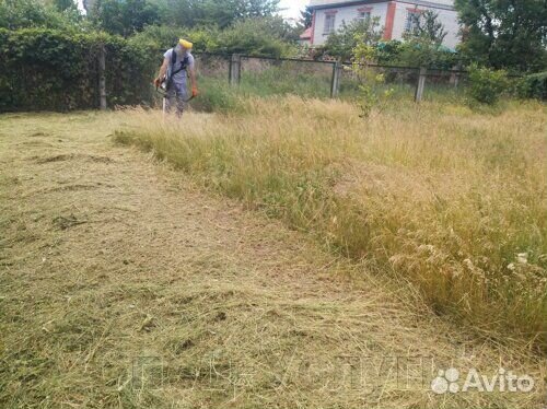 Покос травы триммером