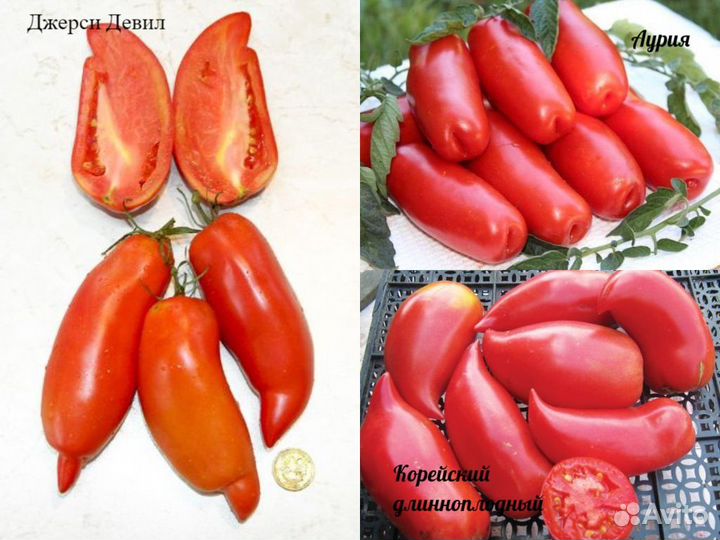 Семена коллекцион.сортов помидор от Леры Берц Ч.4