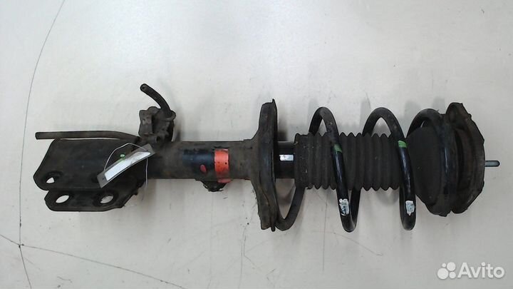 Амортизатор подвески Toyota Corolla Verso, 2008