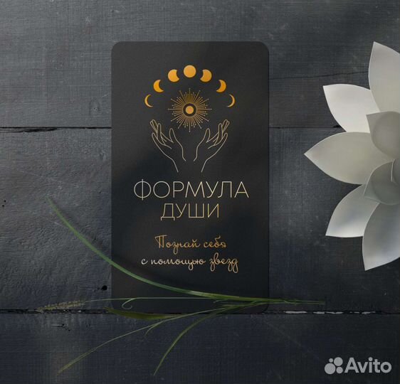 Дизайнер иллюстратор