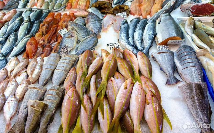 Готовый бизнес: рыбный магазин с доходом