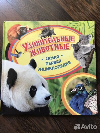 Самая первая энциклопедия росмэн