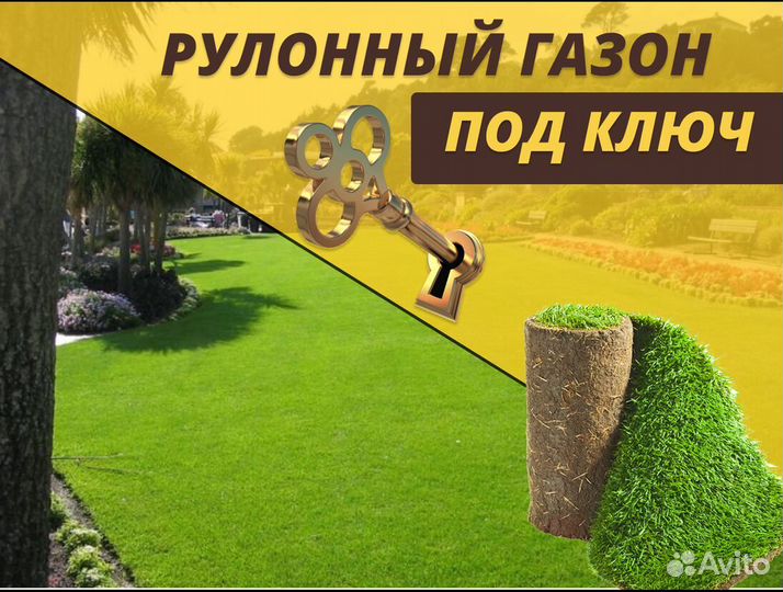 Рулонный газон доставка спортивный