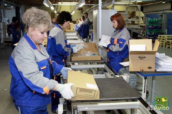 Оператор линии на производство
