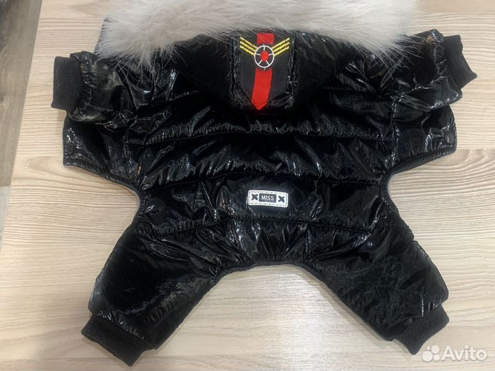 Комбинезон для маленькой собачки зима