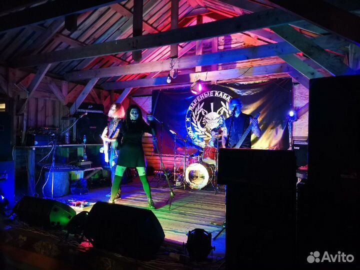 Свет звук профисиональный концертный